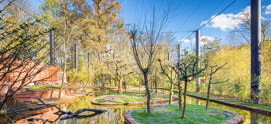 ZOO Zlín, Lešná - Asie a Medvědi